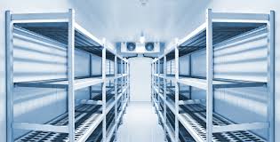 Chilled Storage — The Temperature-Controlled Solution That Separates Thriving Businesses from Struggling Ones