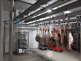 The Ultimate Guide to Frozen Storage: Maximizing Shelf Life and Supply Chain Efficiency
